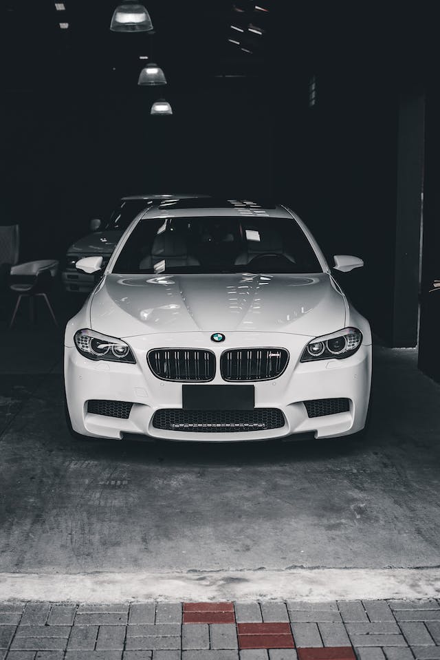 pexels-danilo-marcelino-11291697 (1)
